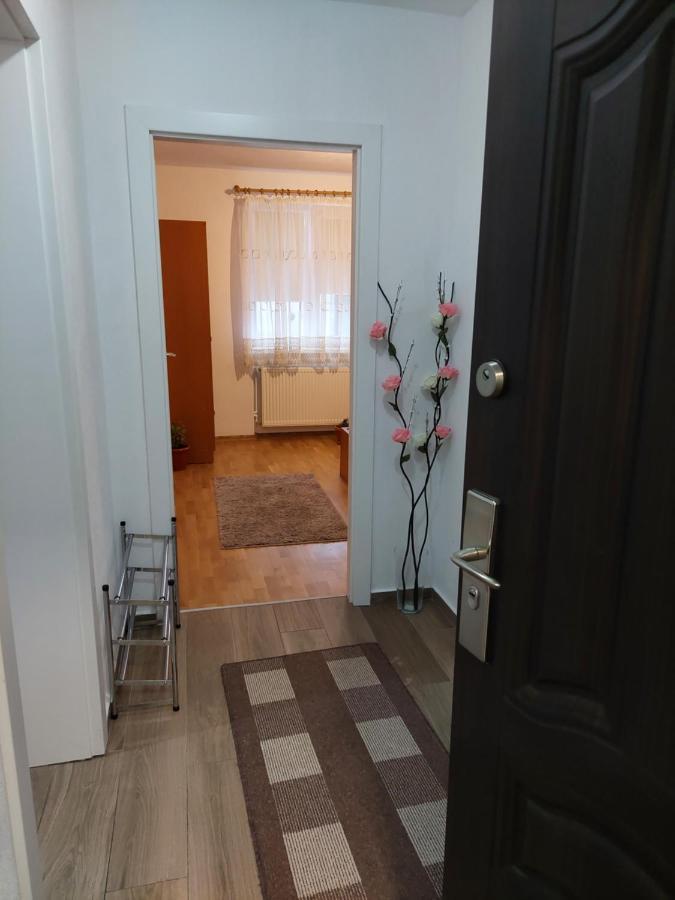 Apartament Ambrus ซิวิโชอารา ภายนอก รูปภาพ