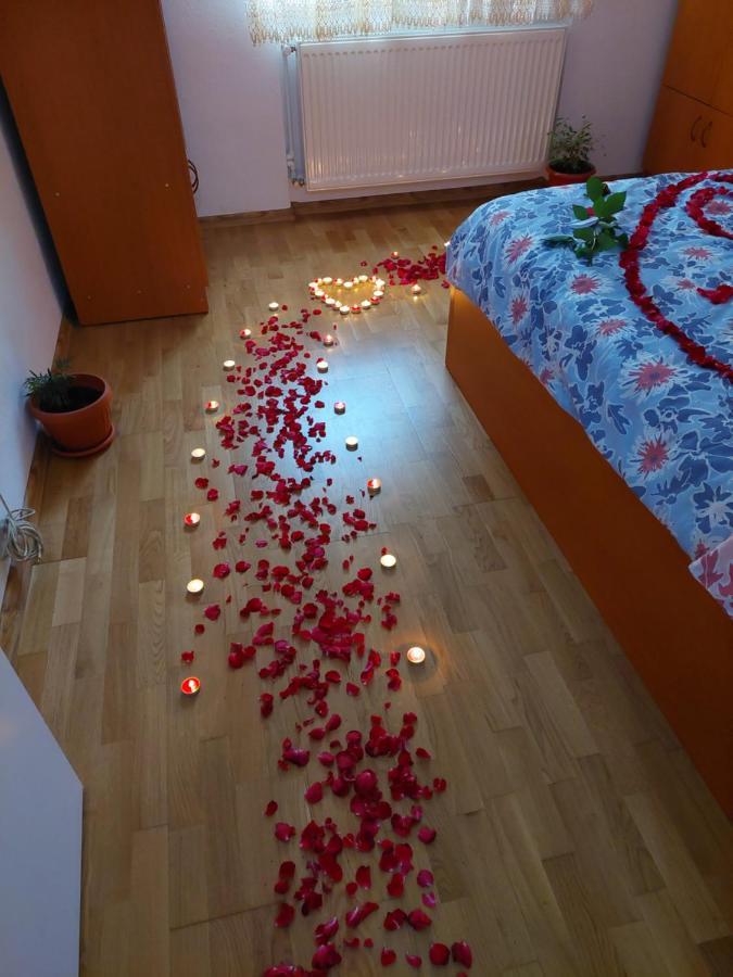 Apartament Ambrus ซิวิโชอารา ภายนอก รูปภาพ