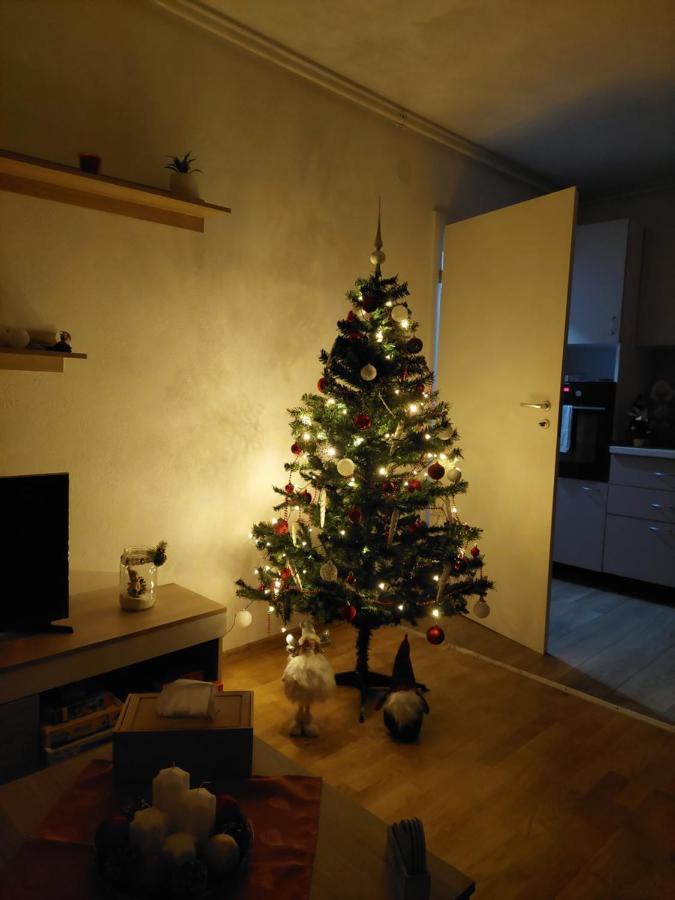 Apartament Ambrus ซิวิโชอารา ภายนอก รูปภาพ